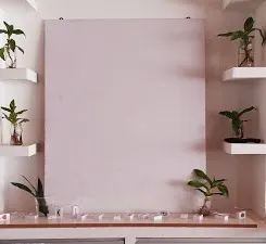 Pizarra blanca junto a plantas